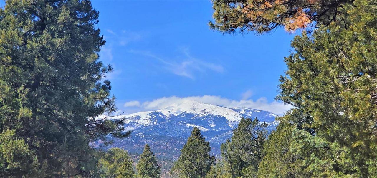 רואידוסו High Sierra Condominiums מראה חיצוני תמונה